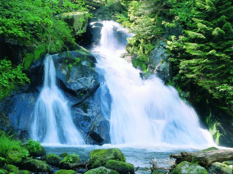 Km Apartment Triberg im Schwarzwald ภายนอก รูปภาพ